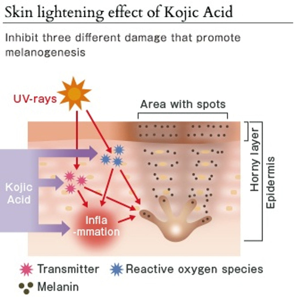 Kojic Acid Brightening Soap – 2-Pack (4 Bars) for Even Skin Tone & Dark Spot Removal